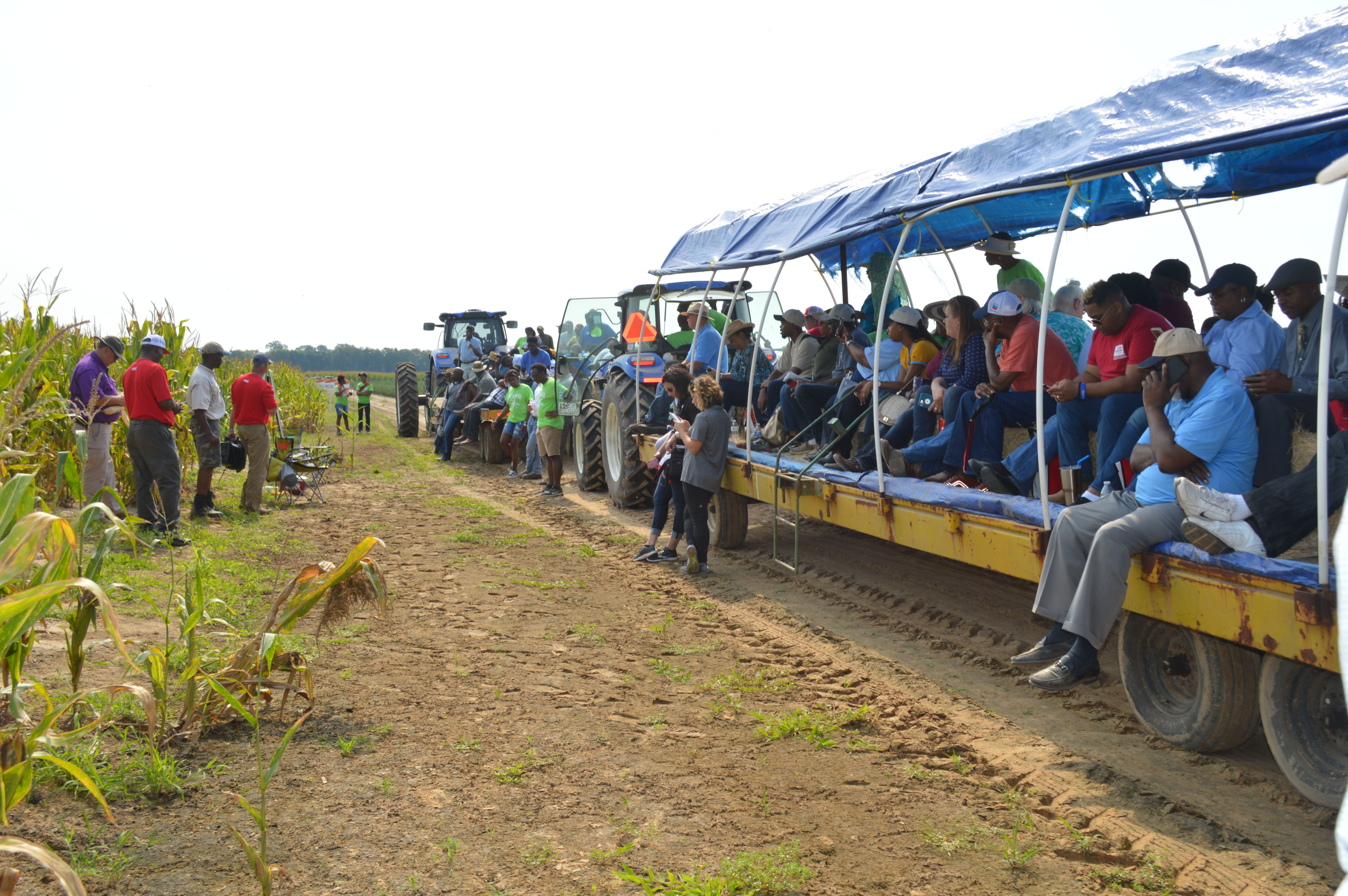 morehouse parish field tour.jpg thumbnail